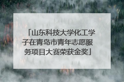 山东科技大学化工学子在青岛市青年志愿服务项目大赛荣获金奖