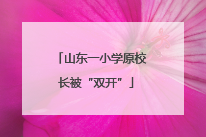 山东一小学原校长被“双开”