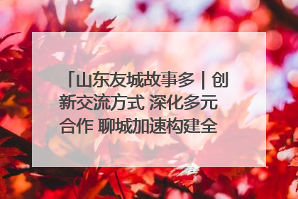 山东友城故事多｜创新交流方式 深化多元合作 聊城加速构建全球友城新格局