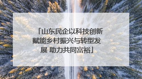 山东民企以科技创新赋能乡村振兴与转型发展 助力共同富裕