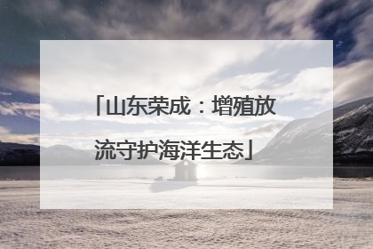 山东荣成：增殖放流守护海洋生态
