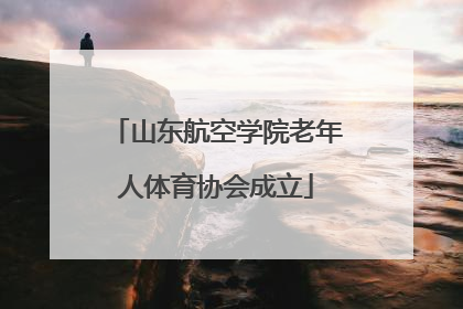 山东航空学院老年人体育协会成立