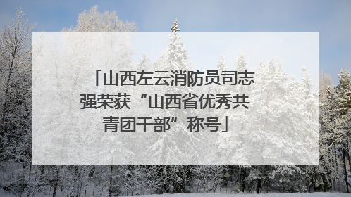 山西左云消防员司志强荣获“山西省优秀共青团干部”称号