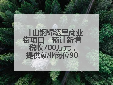 山钢锦绣里商业街项目：预计新增税收700万元，提供就业岗位900余个