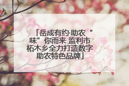 岳成有约·助农“味”你而来 监利市柘木乡全力打造数字助农特色品牌