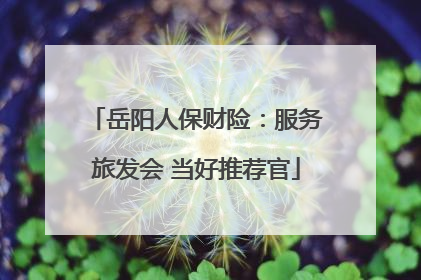 岳阳人保财险：服务旅发会 当好推荐官