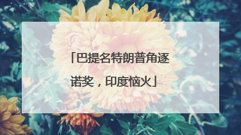 巴提名特朗普角逐诺奖，印度恼火