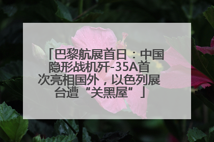 巴黎航展首日：中国隐形战机歼-35A首次亮相国外，以色列展台遭“关黑屋”