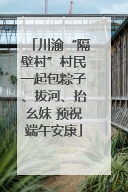 川渝“隔壁村”村民一起包粽子、拔河、抬幺妹 预祝端午安康