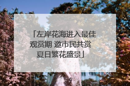左岸花海进入最佳观赏期 邀市民共赏夏日繁花盛景