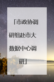 市政协调研组赴市大数据中心调研