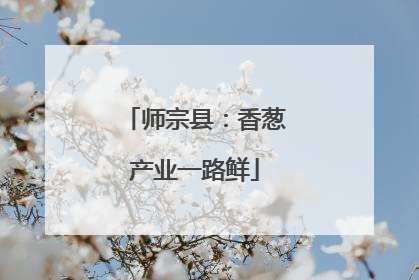 师宗县：香葱产业一路鲜