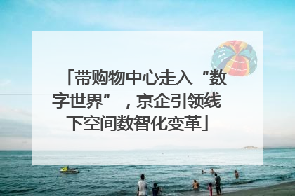 带购物中心走入“数字世界”，京企引领线下空间数智化变革
