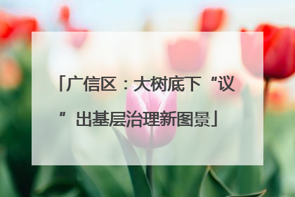 广信区：大树底下“议”出基层治理新图景