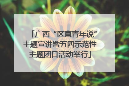 广西“区直青年说”主题宣讲暨五四示范性主题团日活动举行