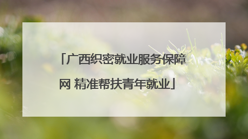 广西织密就业服务保障网 精准帮扶青年就业