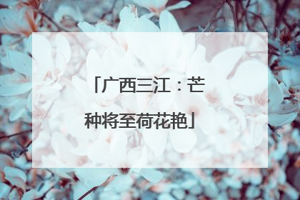 广西三江：芒种将至荷花艳