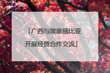 广西与埃塞俄比亚开展经贸合作交流