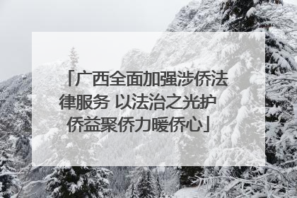广西全面加强涉侨法律服务 以法治之光护侨益聚侨力暖侨心