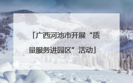 广西河池市开展“质量服务进园区”活动