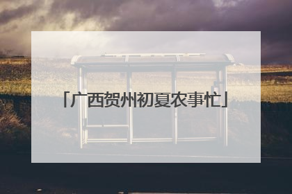 广西贺州初夏农事忙