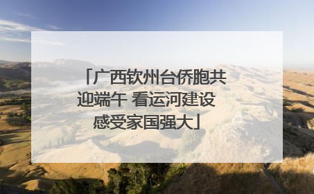 广西钦州台侨胞共迎端午 看运河建设感受家国强大