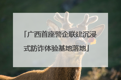 广西首座警企联建沉浸式防诈体验基地落地