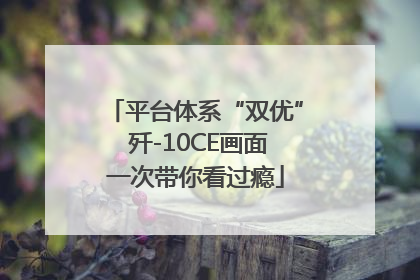 平台体系“双优” 歼-10CE画面一次带你看过瘾