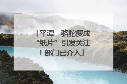 平潭一骆驼瘦成“纸片”引发关注！部门已介入