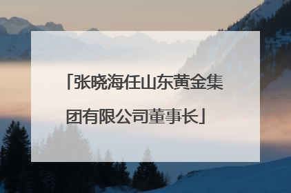 张晓海任山东黄金集团有限公司董事长