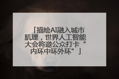 描绘AI融入城市肌理，世界人工智能大会将邀公众打卡“内环中环外环”