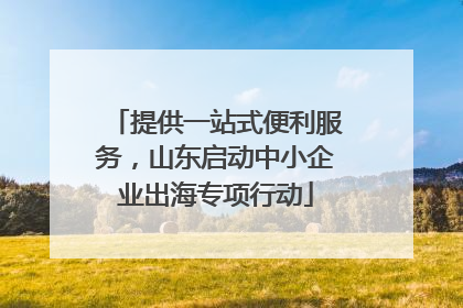 提供一站式便利服务，山东启动中小企业出海专项行动