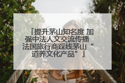 提升茅山知名度 加强中法人文交流传播 法国旅行商踩线茅山“道养文化产品”