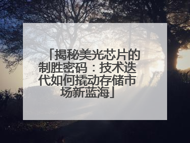 揭秘美光芯片的制胜密码：技术迭代如何撬动存储市场新蓝海