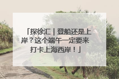 探徐汇｜登船还是上岸？这个端午一定要来打卡上海西岸！