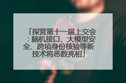 探营第十一届上交会：脑机接口、大模型安全、跨境身份核验等新技术将悉数亮相
