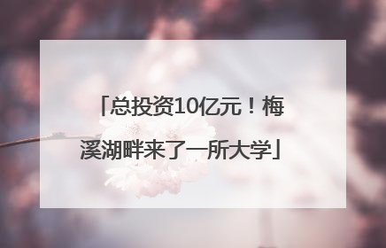 总投资10亿元！梅溪湖畔来了一所大学