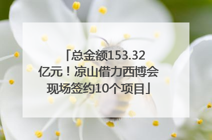 总金额153.32亿元！凉山借力西博会现场签约10个项目