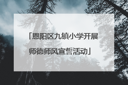 恩阳区九镇小学开展师德师风宣誓活动