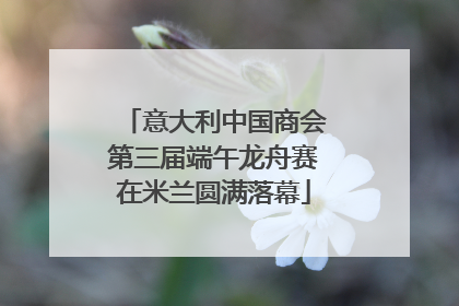 意大利中国商会第三届端午龙舟赛在米兰圆满落幕