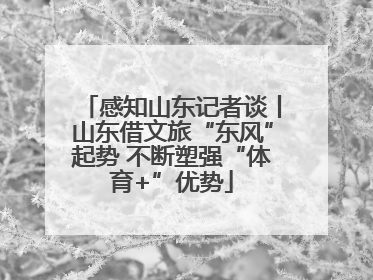 感知山东记者谈丨山东借文旅“东风”起势 不断塑强“体育+”优势