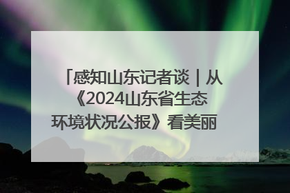 感知山东记者谈｜从《2024山东省生态环境状况公报》看美丽山东建设的“成绩单”与“任务书”
