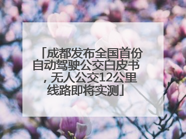 成都发布全国首份自动驾驶公交白皮书，无人公交12公里线路即将实测