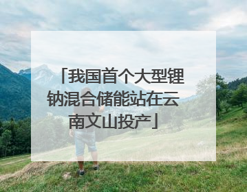我国首个大型锂钠混合储能站在云南文山投产