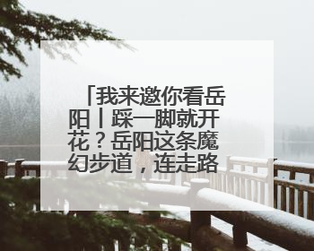 我来邀你看岳阳丨踩一脚就开花？岳阳这条魔幻步道，连走路都变得好玩！