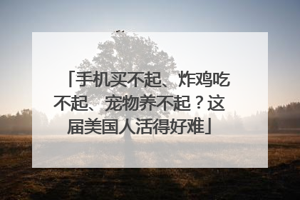 手机买不起、炸鸡吃不起、宠物养不起？这届美国人活得好难