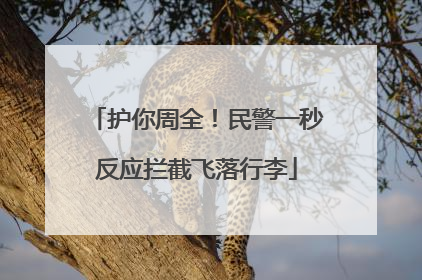 护你周全！民警一秒反应拦截飞落行李