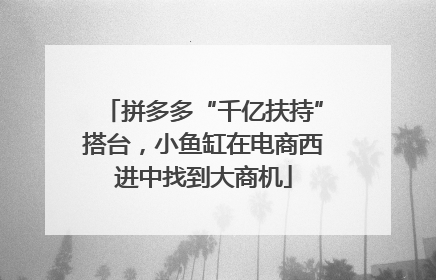 拼多多“千亿扶持”搭台，小鱼缸在电商西进中找到大商机