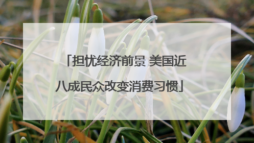 担忧经济前景 美国近八成民众改变消费习惯