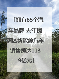 拥有65个汽车品牌 去年槐荫区新能源汽车销售额达113.9亿元